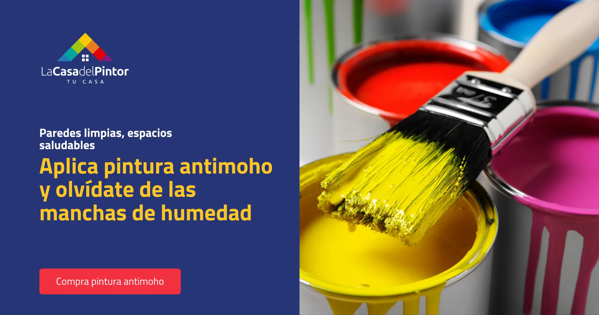 Compra pintura antimoho en La Casa del Pintor